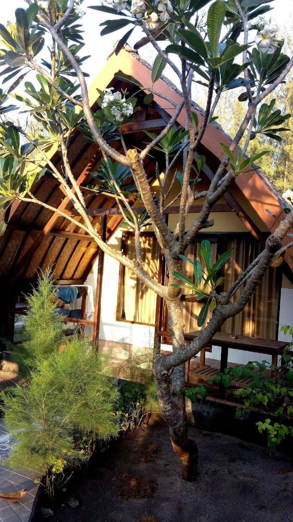 Pondok Windy Gili Trawangan Zewnętrze zdjęcie